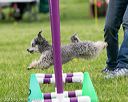 20150516-neat-0682