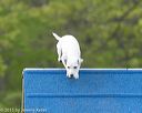 20150516-neat-0100