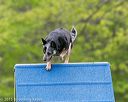 20150516-neat-0120