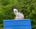 20150516-neat-0130