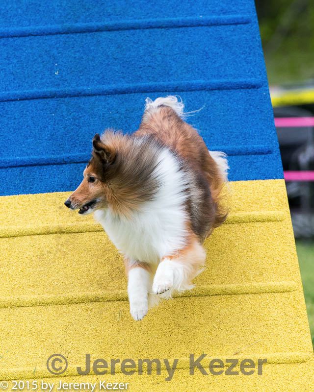 20150516-neat-0128.jpg