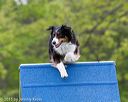 20150516-neat-0155