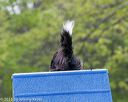 20150516-neat-0165