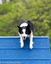 20150516-neat-0178