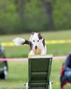20150516-neat-1019