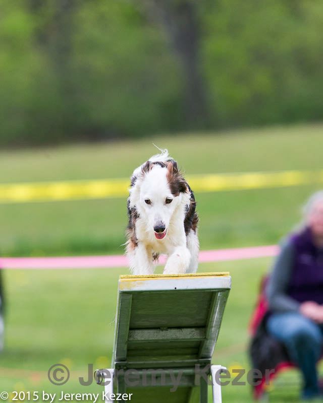 20150516-neat-1013.jpg