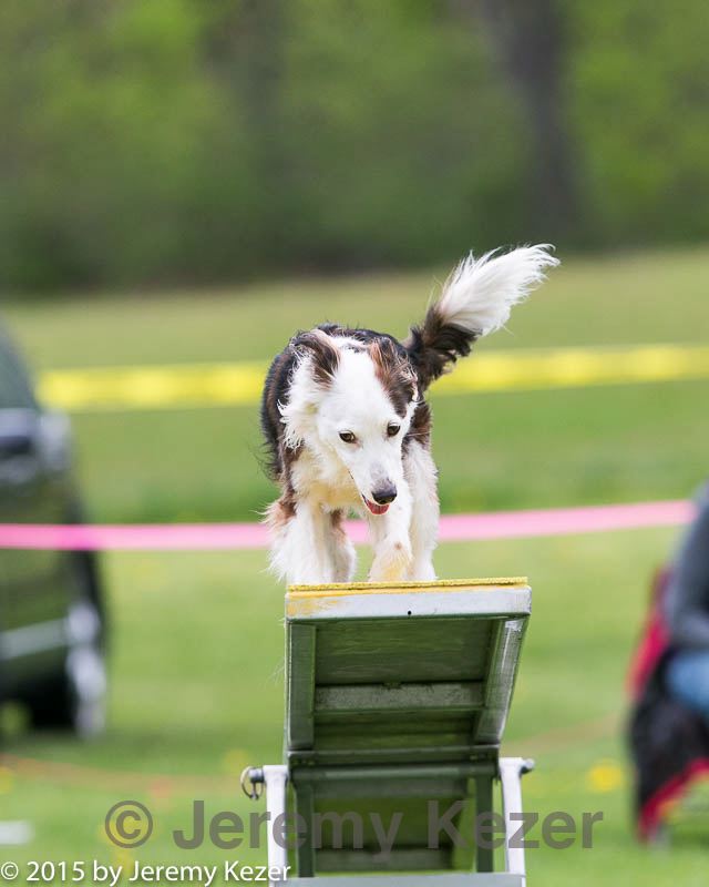 20150516-neat-1017.jpg