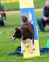 20150516-neat-0963