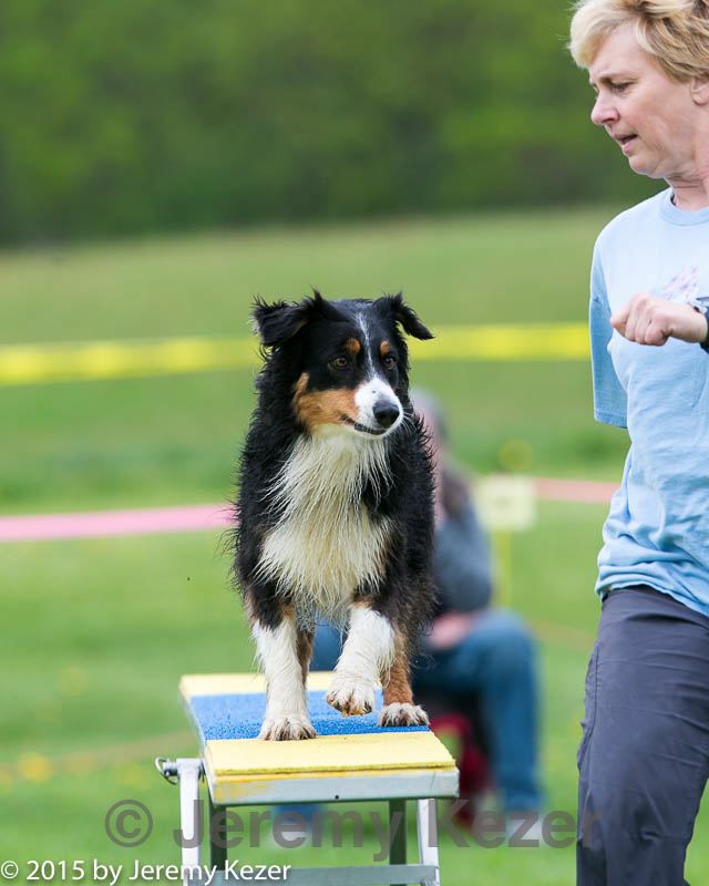 20150516-neat-0934.jpg