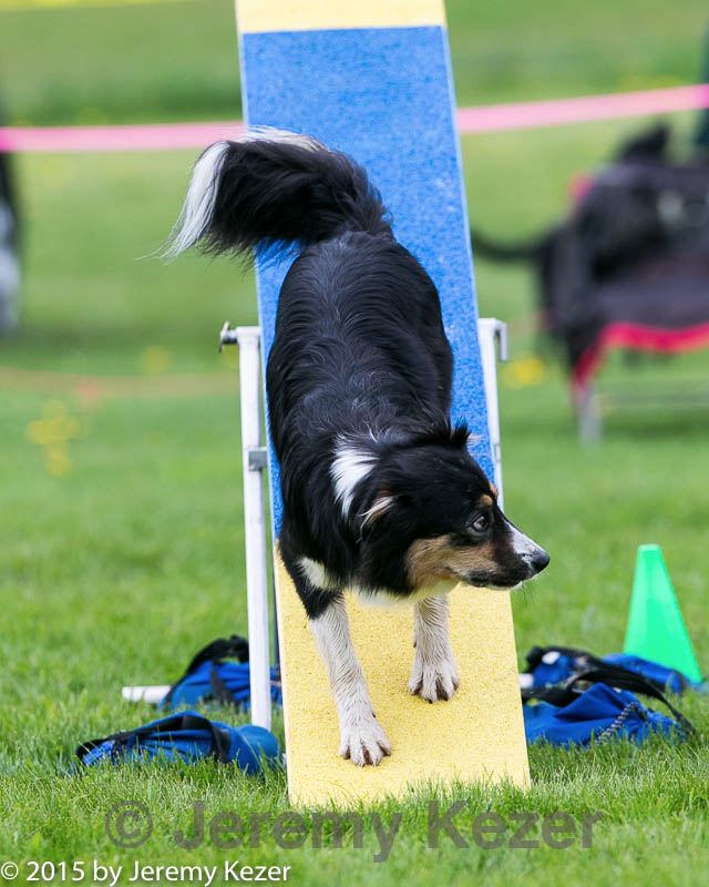 20150516-neat-0982.jpg