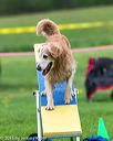 20150516-neat-0994
