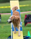 20150516-neat-0995
