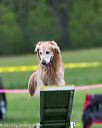 20150516-neat-0998
