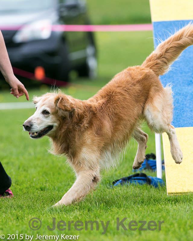20150516-neat-0996.jpg