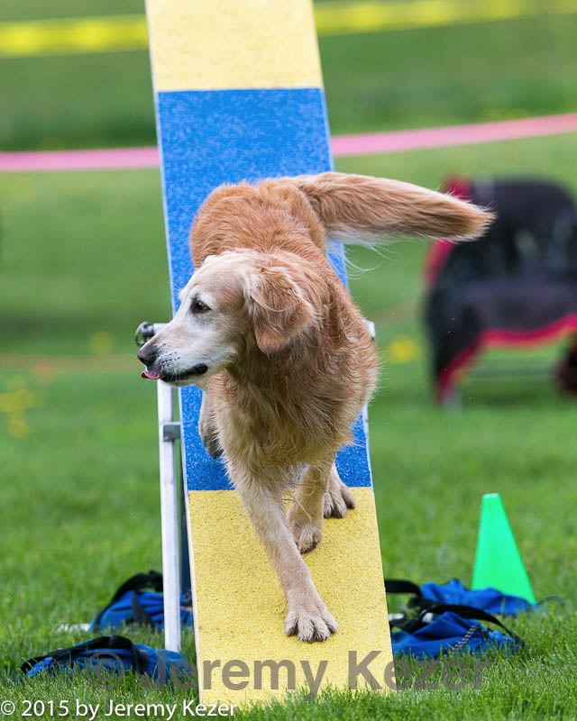 20150516-neat-1003.jpg