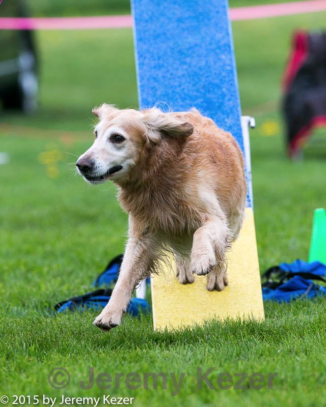 20150516-neat-1004.jpg
