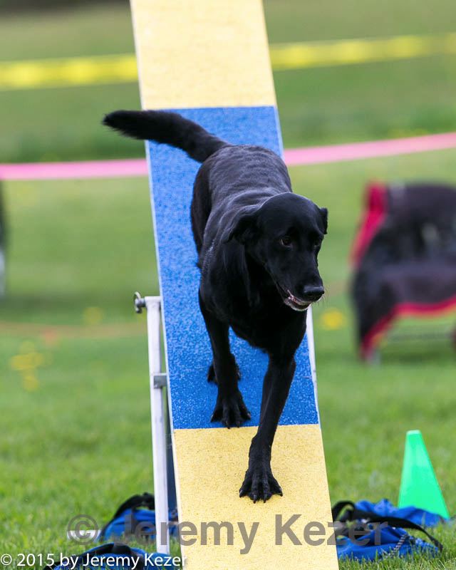 20150516-neat-1011.jpg