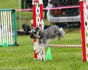 20150516-neat-0482
