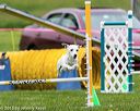 20150516-neat-0488