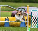 20150516-neat-0500