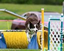20150516-neat-0555