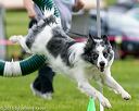 20150516-neat-0590