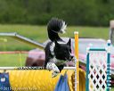 20150516-neat-0631