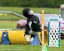 20150516-neat-0632
