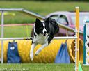 20150516-neat-0639