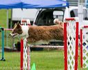 20150516-neat-0651