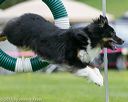 20150516-neat-0532