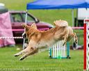 20150516-neat-0535