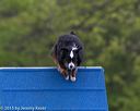 20150516-neat-0017