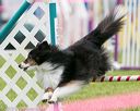 20150516-neat-0033
