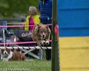 20150516-neat-0035