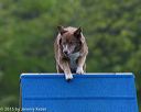 20150516-neat-0036