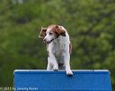 20150516-neat-0052