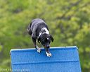 20150516-neat-0057