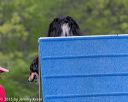 20150516-neat-0074