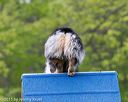 20150516-neat-0079