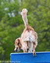 20150516-neat-0082