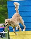 20150516-neat-0085