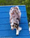 20150516-neat-0089