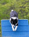 20150516-neat-0093