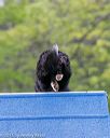 20150516-neat-0097