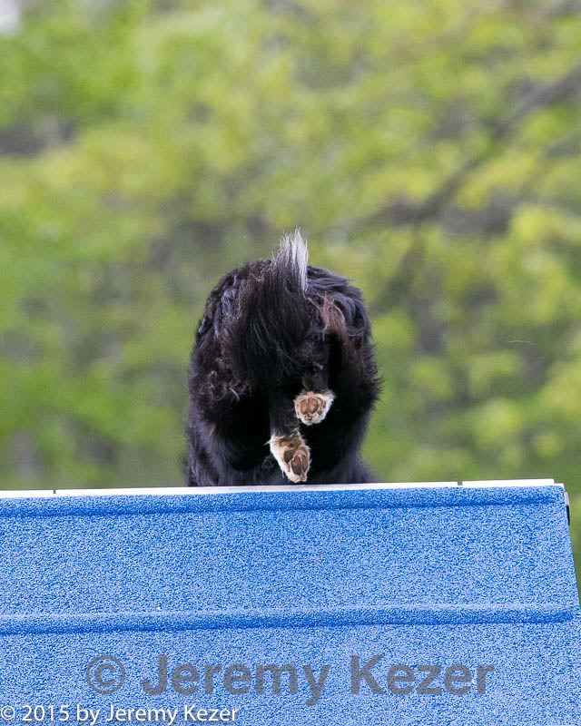 20150516-neat-0097.jpg