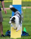 20150516-neat-0850