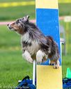 20150516-neat-0873