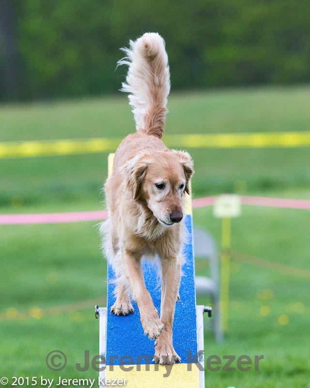 20150516-neat-0883.jpg
