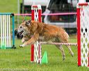 20150516-neat-0449